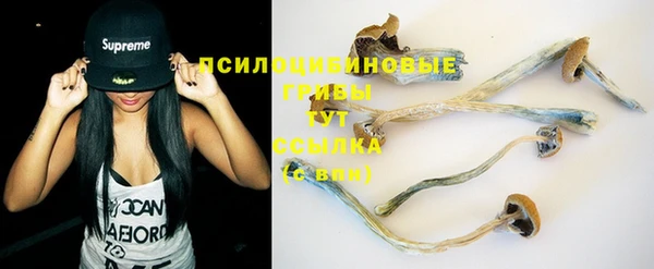 мяу мяу кристалл Богданович