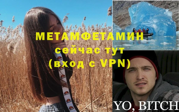 мяу мяу кристалл Богданович