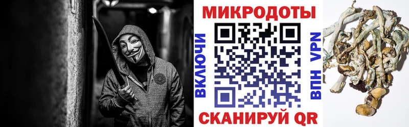 Галлюциногенные грибы ЛСД  хочу наркоту  Петрозаводск 